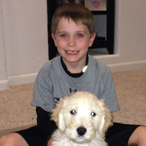 Meet your Posher, Evan